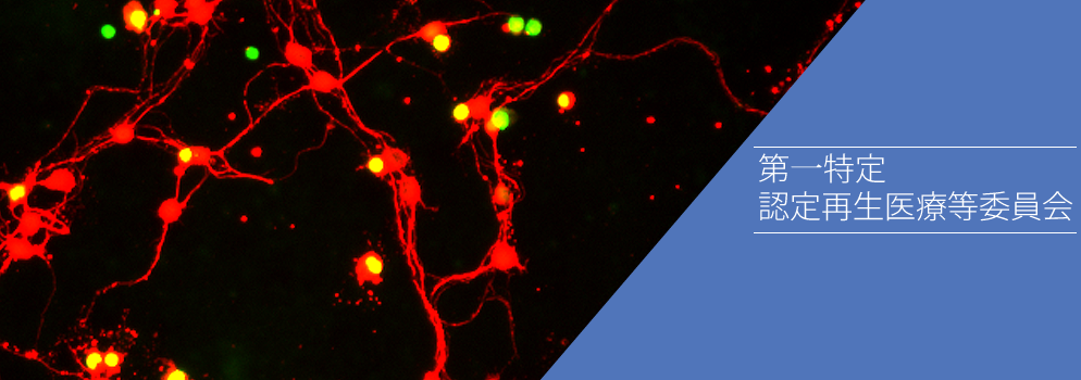 第一特定認定再生医療等委員会